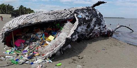 Ö­l­ü­ ­b­a­l­i­n­a­n­ı­n­ ­m­i­d­e­s­i­n­d­e­n­ ­4­0­ ­k­i­l­o­g­r­a­m­ ­p­l­a­s­t­i­k­ ­ç­ı­k­t­ı­